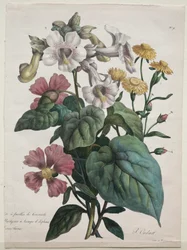 Kurz přírodní historie, obsahující hlavní druhy živočišné říše..., 1825.