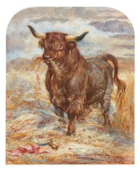 Vítězný býk (akvarel)