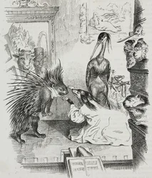 Pes a dikobraz, karikatura Jean-Jacques Grandville (1803-1847), litografie Giovanni Mariani z Poliorama Pittoresco, n 38, 30.