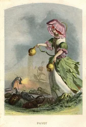 Ilustrace pro 