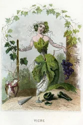 Ilustrace pro 