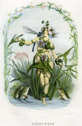 Ilustrace pro 