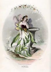 Ilustrace pro 