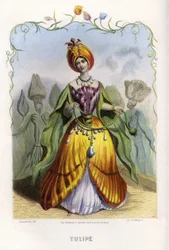Ilustrace pro 