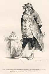 Faucon zničený revolucemi. Miniatury ilustroval JJ Granville. Rytina signovaná Breviere v části nazvané "Vzpomínky staré vrány" od PJ Stahla ve "Scénách ze soukromého a veřejného života zvířat". Paris, J. Hetzel a Pauli