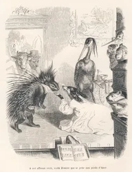 Opera s dikobrazem, psem a volavkou na jevišti. Viněty ilustroval JJ Granville. Rytina podepsaná Godardem v části nazvané "Le premier feuilleton de Pistolet", kterou napsal Jules Janin v knize "Scenes de la vie privee et publique des animaux".