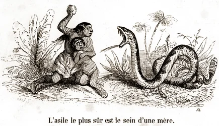 Nejbezpečnějším útočištěm je matčin prs