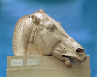 Hlava jednoho z koní Seléné, bohyně měsíce, z východního štítu Parthenónu, 447-432 př. n. l.