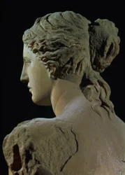 Venus de Milo, detail zadní části hlavy, helénistické období, cca 100 př. nl mramor pro čelní pohled viz 14152