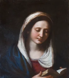 Panna oznámena