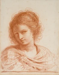 Hlava mladé ženy, 1550-1666