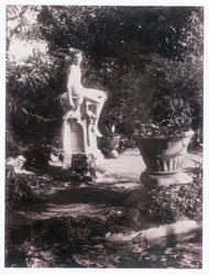 Fotograf (foto)