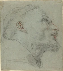 Hlava svatého Františka