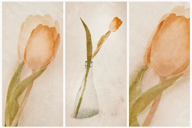 Jemné zátiší s tulipány