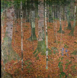 Březový les