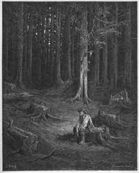 la foret et le bucheron - les a dřevorubec - z 