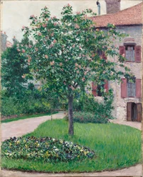 Strom v květu, 1882.