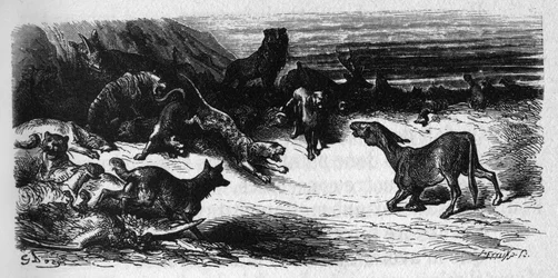 Zvířata nemocná morem. Bajky Jean de La Fontaine (1621-95). Ilustrace Gustave Dore.