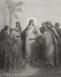 Ježíš a jeho učedníci v obilném poli, ilustrace z Dorého „Svaté bible“, rytina od Pannemakera, 1866