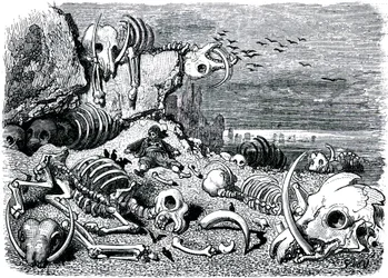 Sindibád námořník (Sindibád) - příběh tisíce a jedné (1001) noci - ilustrace Gustave Dore - vydání Maxwell 1865 - Sedmá a poslední plavba: hřbitov slonů, kde Sindibád získá obranu ze slonoviny