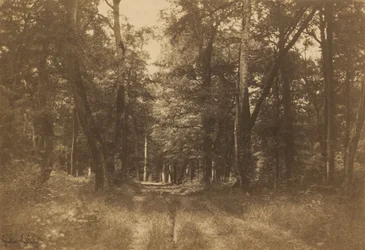 Bas-Bréau, Les Fontainebleau, 1849-1852 (foto)