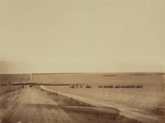 Manévry, tábor Chalons