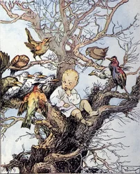 Ilustrace k „La storia di Peter Pan““, bajka Jamese Matthewa Barrieho (JM nebo J. M. Barrie