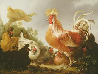 Kohout a slepice v krajině, 1649