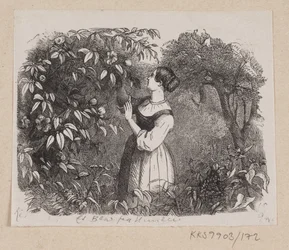 Ilustrace pro "Leaf from Heaven" v H.C. Andersen, "Pohádky a příběhy", svazek 2