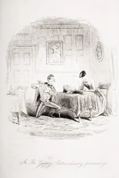 In Re Guppy. Mimořádné řízení, ilustrace z knihy "Bleak House" od Charlese Dickense (1812-70) vydané v roce 1853.