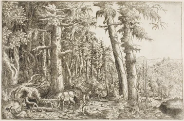 Dobrý Samaritán