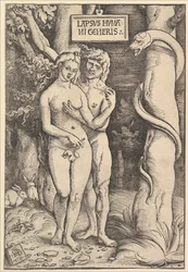 Adam a Eva, 1511.