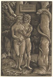 Pád lidstva, 1511