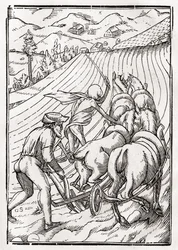Smrt přichází pro farmáře nebo manžela, vyryl Georg Scharffenberg, z „Der Todten Tanz“, vydaného v Basileji, 1843