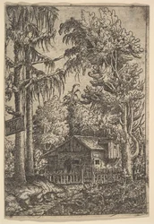 Srub mezi stromy, 1551.