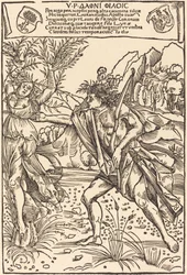 Apollo a Daphne