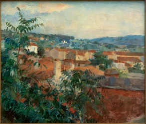Krajina poblíž St. Tropez
