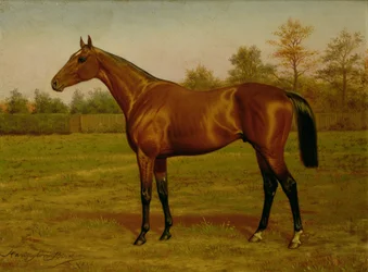 Isinglass, Trojitá koruna, 1893