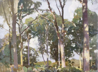 Stromy na slunci (panel)
