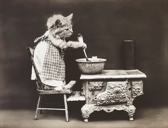 Série Kitties: 1914 (stříbrný tisk)