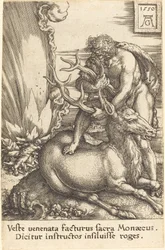 Herkules a Hind