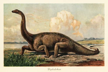 Vyhynulý Diplodocus longus na pláních.