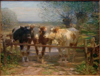 Krávy u brány
