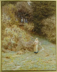 V Primrose Woodu