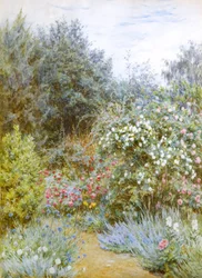 Růže v zahradě Gertrudy Jekyll, Munstead Wood, Surrey (akvarel)