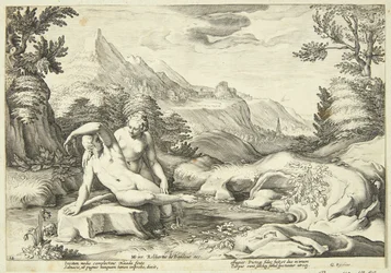 Salmacis a Hermaphroditus