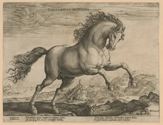 divoký kůň Eqvvs liber et incompǒsitvs (název na objektu) Plemena koní z královské stáje Dona Juana z Rakouska (název seriálu)