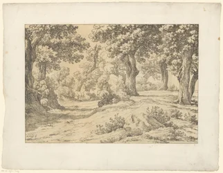 výhled na les Tentamina Lithographica (název série) Italské krajiny (název série)