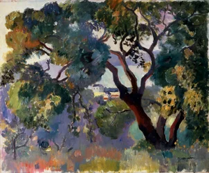 „Krajina v Saint-Tropez“, 1905.