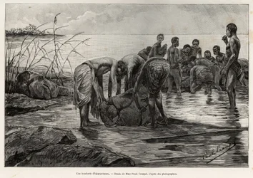 Hroší řeznictví na břehu středoafrické řeky. Rytina Henriho Thiriata k ilustraci příběhu „La mission Crampel““, od Alberta Nebouta (1862-1939), v roce 1890, v Le tour du Monde 1892, režie Edouard Charton (1807-1891), Hachette, Pa